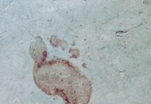 जांजगीर चांपा में बुजुर्ग दंपति की गला रेत कर हत्या:- जमीन में पति तो खाट में पत्नी के खून से लथपथ शव ,हत्या का कारण अज्ञात, जमीन में हत्यारे के पैर के निशान