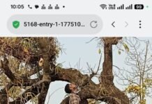 दो दोस्तों की एक ही फंदे पर लटकती मिली लाश,एक ही गांव के रहने वाले थे दोनो,कल से थे दोनो लापता,गांव से लगे जंगल मे मिली लाश,बालको पुलिस जुटी जांच में