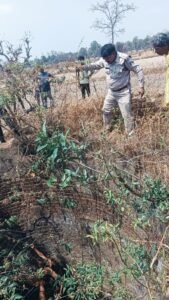 7 साल के मासूम पर पड़ोसी युवक की बिगड़ी नियत, बहला फुसला कर ले गया बाहर, मामला उजागर न हो इसलिए आरोपी युवक ने पत्थर से मार मार कर ली जान,फिर शव को फेंका कुए में, देखिए वीडियो 1 IMG 20260405 WA0048