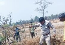 7 साल के मासूम पर पड़ोसी युवक की बिगड़ी नियत, बहला फुसला कर ले गया बाहर, मामला उजागर न हो इसलिए आरोपी युवक ने पत्थर से मार मार कर ली जान,फिर शव को फेंका कुए में, देखिए वीडियो