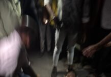 शनिचरा बांध पुल के पास हुआ हादसा बोलेरो-वैगनआर में भिड़ंत, पिता-पुत्र की मौत, पत्नी व भांजा घायल, देखिए वीडियो