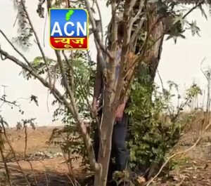 IMG 20260406 WA00941