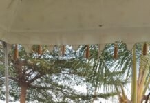 जनक दास कुलदीप बने कोरबा शहर अध्यक्ष