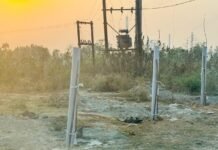 मंत्री के वार्ड में लगे पौधों पर डाली जा रही है राख, विभाग के कर्मचारी लगा रहे हैं पलीता