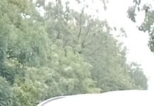 सोनल साहू ने कक्षा दसवीं में 90% अर्जित कर बढ़ाया समाज का मान