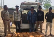 1 करोड़ 22 लाख का गांजा और वाहन जप्त,कटघोरा नवापारा मार्ग पर हुई कार्यवाही,245 किलो गांजे के साथ एक आरोपी गिरफ्तार