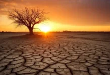 IMD Forecast : मानसून कमजोर रहने के आसार… देश के मध्य क्षेत्र में सूखे जैसी आशंका… इसी पार्ट में है छत्तीसगढ़