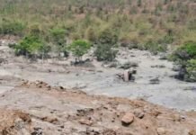 विद्युत मंडल राखड़ बांध का तटबंध टूटा .जेसीबी चालक की हुई मौत …