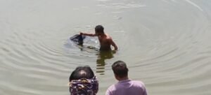 Screenshot 2026 04 24 12 20 18 35 99c04817c0de5652397fc8b56c3b3817