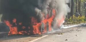 Screenshot 20260402 173612 Gallery