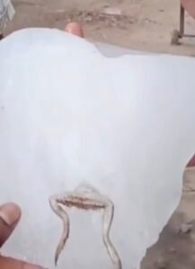 Screenshot 20260404 145152 Gallery