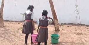 Screenshot 20260408 133115 Gallery