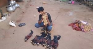 Screenshot 20260409 095919 Gallery