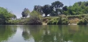 Screenshot 20260409 195724 Gallery 1