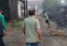 प्लांट में घुसा जंगली चीतल मची अफरा-तफरी,कुत्तों के दौड़ाने से दीवार फांदकर फैक्ट्री परिसर में घुसा चीतल, देखिए वीडियो