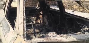 Screenshot 20260415 121535 Gallery