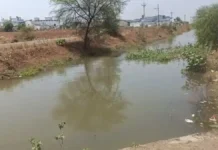 भाटापारा मुख्य शाखा नहर में बड़ा हादसा : नहाने गए गए 3 बच्चे तेज बहाव में बहे, एक की मौत दूसरा गंभीर