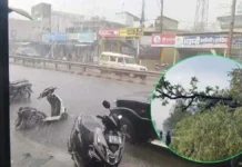 मौसम ने ली करवट :कोरबा सहित पुरे छत्तीसगढ़ में तेज आंधी के साथ जमकर हुई बारिश, पेड़ गिरने से NH 30 पर लगा लंबा जाम