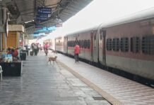 रेल्वे ट्रैक के किनारे मिली युवक की लाश,यात्रा के दौरान खंभे से टकराने की आशंका, पहचान में जुटी पुलिस व्हाट्सएप और आसपास गांव से कराई जा रही पहचान