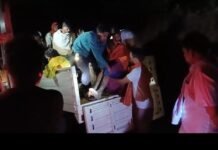 जिले के दुरस्थ क्षेत्र में भीषण सड़क दुघर्टना,बारातियों से भरी पीकप पलटी,दो लोगों की हुई मौके पर मौत