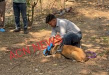 बरपारा कोहड़िया में युवक की रक्तरंजित लाश मिलने से सनसनी, हत्या की आशंका