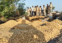 खोल रखी थी शराब की अवैध फैक्ट्री : धमतरी जिले की भखारा पुलिस ने सैकड़ों बोरी लाहन किया जब्त, कई भट्ठियों को तोड़ा
