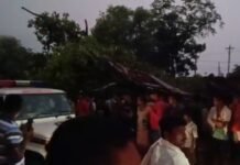 कूदमुरा बस स्टैंड में गिरा विशाल बरगद का पेड़, बड़ा हादसा टला,आंधी-तूफान का कहर, पेड़ के नीचे दबी महिला को ग्रामीणों ने बचाया