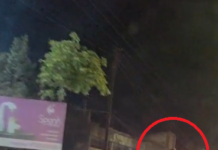 बिलासपुर: हाईवे पर चलती BMW में युवती का स्टंट, वीडियो वायरल, पुलिस जांच में जुटी