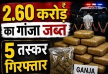 पुलिस की बड़ी कार्रवाई: 490 किलो से ज्यादा गांजा जब्त; करोड़ों की संपत्ति बरामद