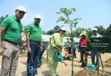 हर पौधा बनेगा एक स्मृति, हर वृक्ष रचेगा हरित विरासत की नई कहानीः सीईओ राजेश कुमार सिंह