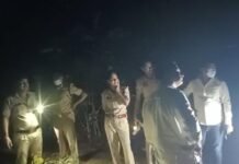 जंगल में मिली युवती की लाश,क्षेत्र में फैली सनसनी