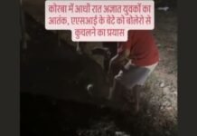 दबंगों की हैवानियत, ASI के बेटे को कार से कुचला, पत्रकार को अधमरा कर छोड़ा,बोलेरो को जगह न मिलने पर 20-25 युवकों ने की पिटाई, मानिकपुर चौकी क्षेत्र की घटना, देखिए वीडियो
