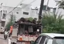 पुरानी बस्ती के दुरपा रोड पर अब भी सज रहीं कबाड़ की अवैध दुकानें,कबाड़ से भरी दो गाड़ियां खड़ी, पुलिस देखकर लौटी, कोतवाली पर मिलीभगत का आरोप, देखिये वीडियो