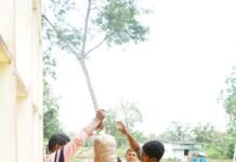 सुकमा में मशरूम उत्पादन का प्रशिक्षण बना आत्मनिर्भरता की नई राह,25 आत्मसमर्पित युवाओं को मिला स्वरोजगार