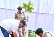 एक पेड़ माँ के नाम” अभियान के तहत मंत्री श्री राजेश अग्रवाल ने नवीन विधानसभा परिसर में लगाया पौधा