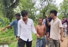 अजगरबहार के नर्मदा गांव में गोवंश के अवशेष मिलने से सनसनी, एक संदिग्ध हिरासत में, गांव में बढ़ाई गई पुलिस निगरानी