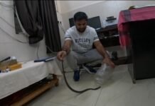 जिला अस्पताल में डॉक्टर की टेबल के नीचे निकला कोबरा, 15 मिनट तक मचा हड़कंप,RCRS टीम ने पेशेवर तरीके से किया रेस्क्यू, वन क्षेत्र में छोड़ा गया सांप, देखिये वीडियो