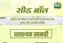 *विशेष लेख*सीड बॉल अभियान- हरियाली बढ़ाने का सरल और प्रभावी माध्यम,जनभागीदारी से साकार हो रहा हरित छत्तीसगढ़ का संकल्प