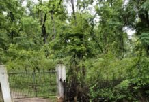 उरगा – हाटी मार्ग पर दर्दनाक सड़क हादसा, 2 युवकों की मौत