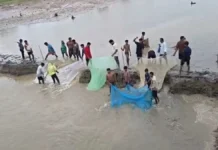 कवर्धा में सालों पुराना बांध फूटा : सैकड़ों एकड़ फसल पर संकट, जाल लेकर मछली पकड़ने पहुंचे ग्रामीण