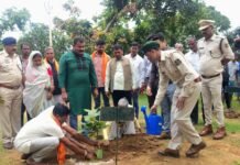 एक पेड़ माँ के नाम अभियान से बदली उजड़ी वन भूमि की तस्वीर,अतिक्रमण मुक्त भूमि पर हुआ वृहत पौधरोपण, बढ़ेगा हरित आवरण और पर्यावरण संरक्षण