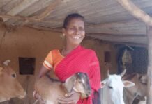 बस्तर के खेतों में बही समृद्धि की बयार,महिला किसान रैबाली कश्यप ने एकीकृत कृषि अपनाकर रची सफलता की नई इबारत