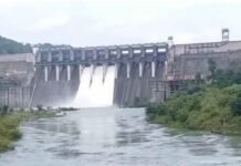 मिनीमाता बांगो बांध के 7 गेट खोले गए,बांध का जलस्तर 358.60M, 93.65% भराव