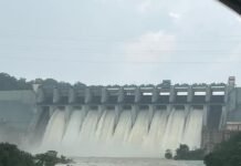मिनीमाता बांगो बांध के 9 गेट खुले, कुल 41080 क्यूसेक पानी छोड़ा जा रहा,जलस्तर 358.60 मीटर, पिछले 7 घंटे में 7 सेमी नीचे आया