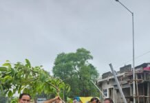 ’’ एक पेड़ मॉ के नाम ’’ रोटरी क्लब के सदस्यों ने निगम के साथ मिलकर किया वृक्षारोपण
