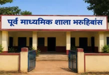 महिला शिक्षिकाओं से दुर्व्यवहार पड़ा भारी : जांच में आरोप सही मिलने पर प्रभारी प्रधान पाठक निलंबित