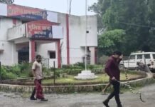 कटघोरा थाना परिसर में निकला 5.5 फीट का जहरीला अहिराज सांप,स्क्रैप वाहनों के पास देखकर मची अफरा-तफरी, देखिये वीडियो