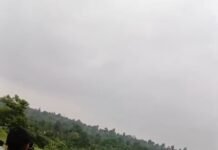 कटघोरा वनमंडल में हाथियों की दस्तक, पसान में दंतैल पहुंचा गांव के पास, 19 हाथी सीमा क्षेत्र में, देखिये वीडियो