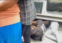 गाड़ी के नीचे फंसा गाय का बछड़ा, लोगों ने मिलकर उठाई गाड़ी और बचाई जान,गौ सेवा समिति ने किया सुरक्षित रेस्क्यू