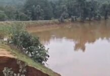 पानी से लबालब भरा कृषि विभाग का मिट्टी का बांध टूटा, खेतों में घुसा पानी, फसलों को भारी नुकसान, देखिये वीडियो